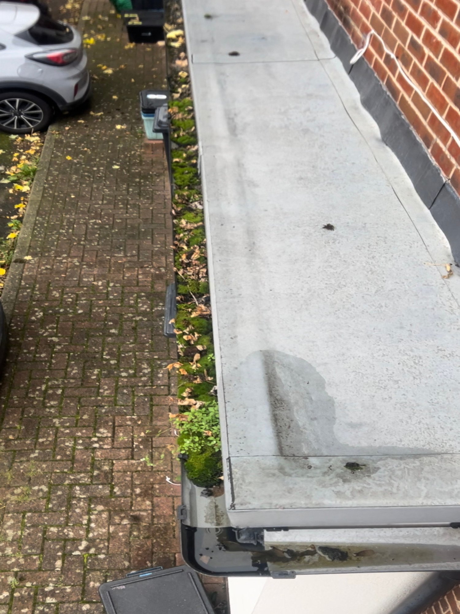 Screenshot Roof gutters before